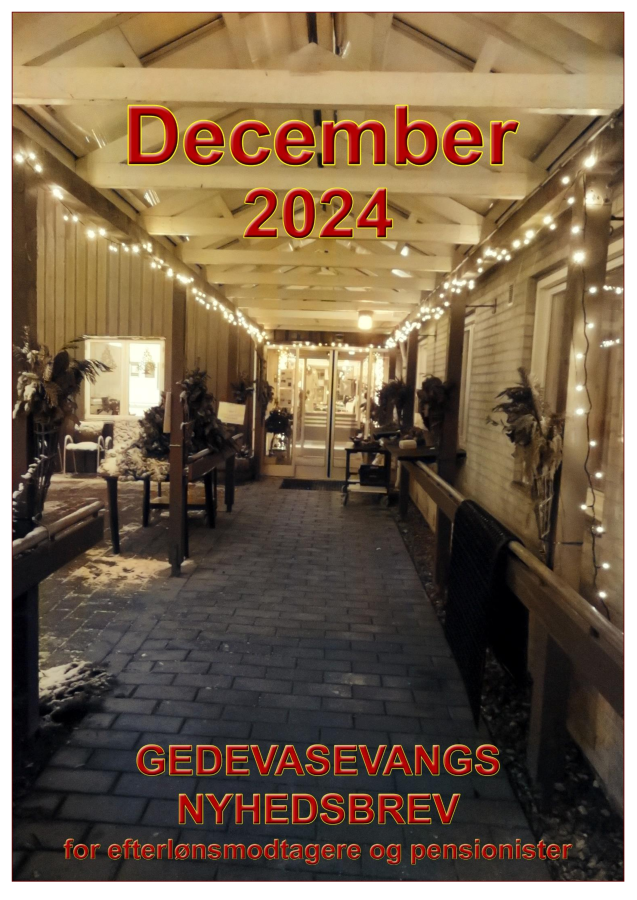 Nyhedsbrev december 2024