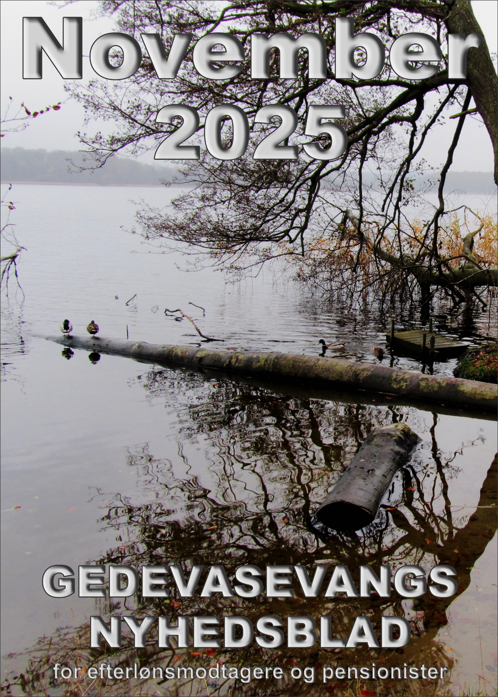 Nyhedsblad November 2025