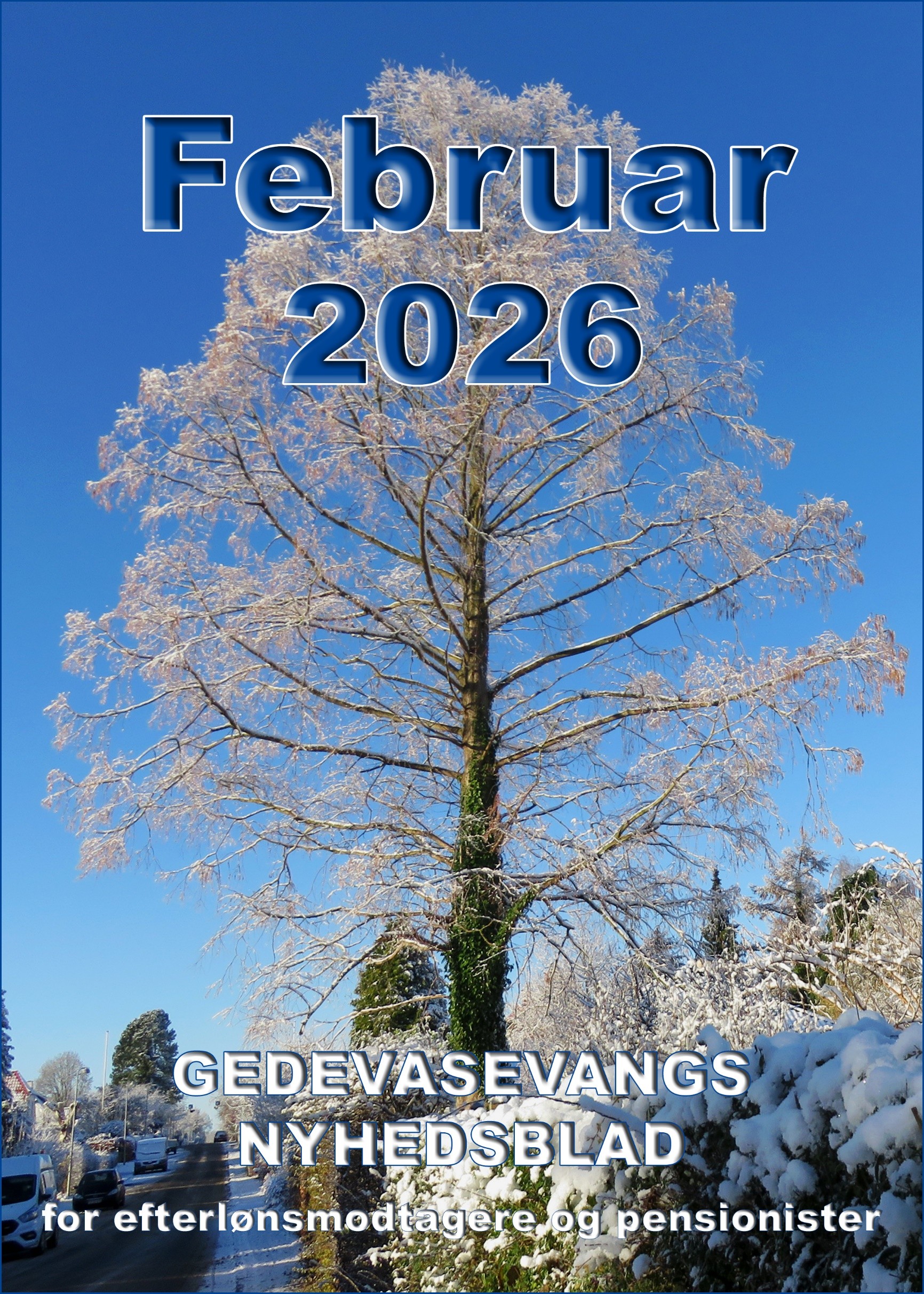 Nyhedsblad Februar 2026