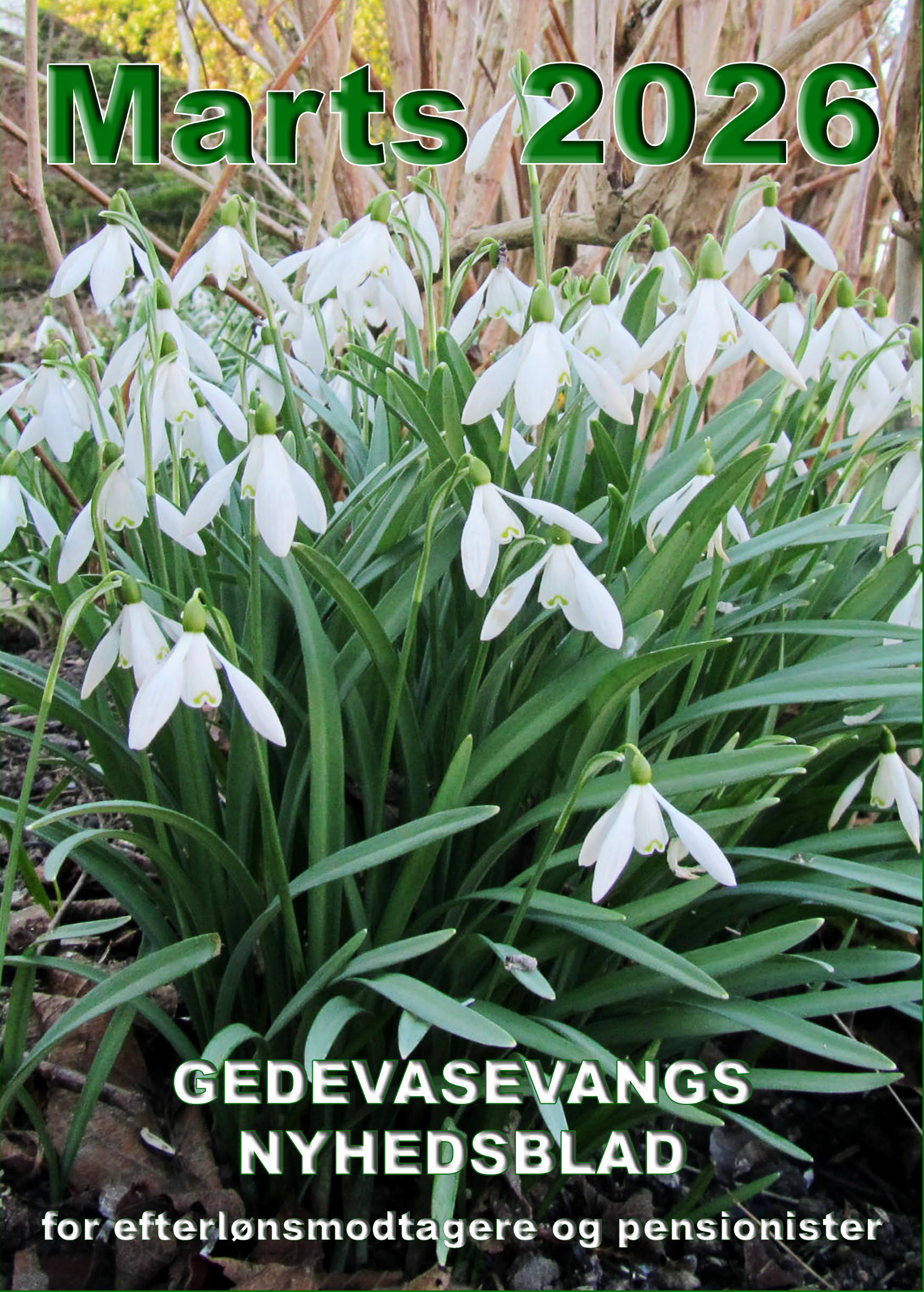 Nyhedsblad Marts 2026